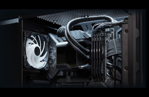 Kingston FURY DDR5 16GB (2x8GB) 6000MHz CL36 Beast Black EXPO Kingston FURY DDR5 16GB (2x8GB) 6000MHz CL36 Beast Black EXPO