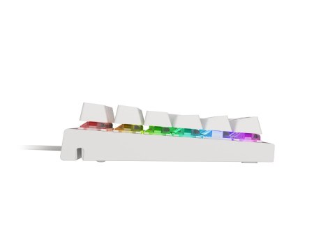KLAWIATURA DLA GRACZY GENESIS THOR 303 US PODŚWIETLENIE RGB MECHANICZNA BROWN SWITCH BIAŁA HOT SWAP KLAWIATURA DLA GRACZY GENESIS THOR 303 US PODŚWIETLENIE RGB MECHANICZNA BROWN SWITCH BIAŁA HOT SWAP