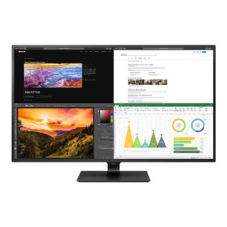 MONITOR LCD 43" IPS/43UN700P-B LG