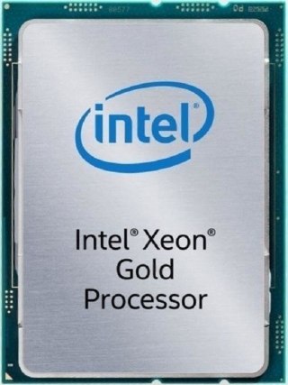 Procesor INTEL Xeon Gold 6208U 3647 CD8069504449101