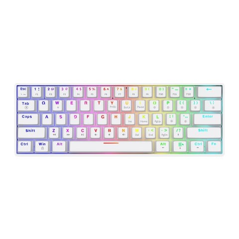 Klawiatura przewodowa SAVIO WHITEOUT X2 Blue Outemu, Hot Swap, mechaniczna, podświetlenie RGB Klawiatura przewodowa SAVIO WHITEOUT X2 Blue Outemu, Hot Swap, mechaniczna, podświetlenie RGB
