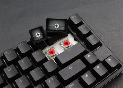 Ducky One 2 SF klawiatura Gaming USB Niemiecki Czarny