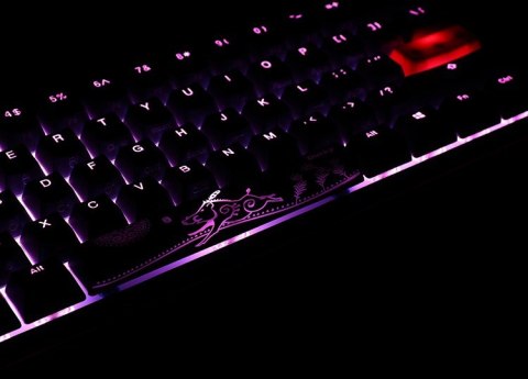 Klawiatura do gier Ducky One 2 Pro Mini, RGB LED - Cherry Blue (US)