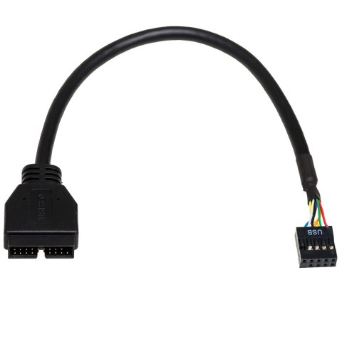 Kabel Akyga AK-CA-28 (IDC 10 pin F - IDE 20-pin M; 0,20m; kolor czarny) Kabel Akyga AK-CA-28 (IDC 10 pin F - IDE 20-pin M; 0,20m; kolor czarny)
