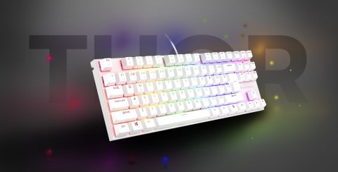 KLAWIATURA DLA GRACZY GENESIS THOR 303 TKL US BIAŁA RGB MECHANICZNA SILENT SWITCH HOT SWAP KLAWIATURA DLA GRACZY GENESIS THOR 303 TKL US BIAŁA RGB MECHANICZNA SILENT SWITCH HOT SWAP