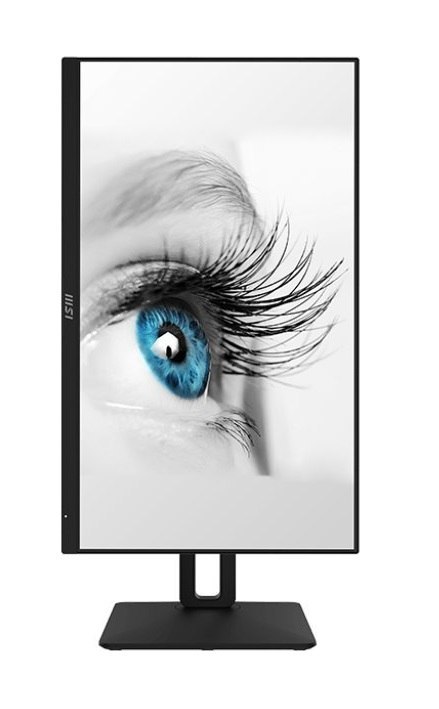 Monitor MSI PRO MP242AP (23.8" /IPS /100Hz /1920 x 1080 /Czarny) Monitor MSI PRO MP242AP (23.8" /IPS /100Hz /1920 x 1080 /Czarny)