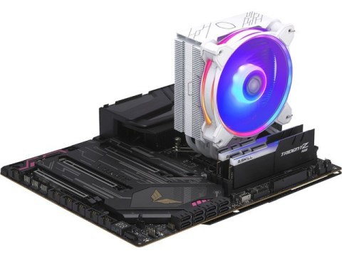 COOLER MASTER CHŁODZENIE CPU HYPER 212 HALO ARGB