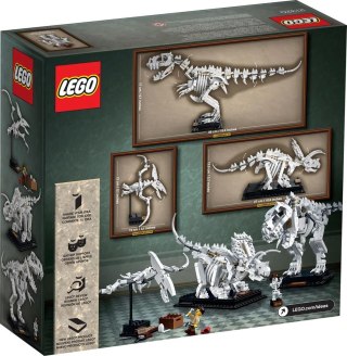 LEGO 21320 Ideas Szkielety dinozaurów