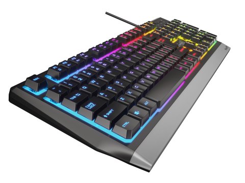 GENESIS RHOD 300 RGB klawiatura Gaming USB Czarny