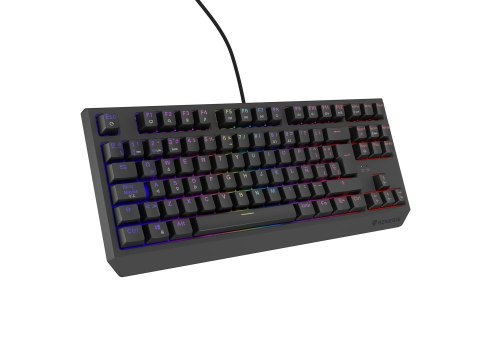 GENESIS Thor 230 TKL klawiatura Gaming USB QWERTY Hiszpański Czarny