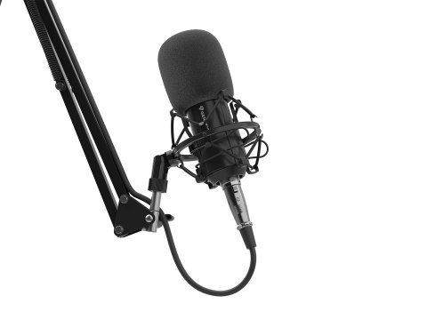 GENESIS Radium 300 XLR Czarny Mikrofon studyjny GENESIS Radium 300 XLR Czarny Mikrofon studyjny
