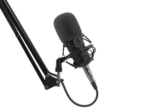 GENESIS Radium 300 XLR Czarny Mikrofon studyjny GENESIS Radium 300 XLR Czarny Mikrofon studyjny