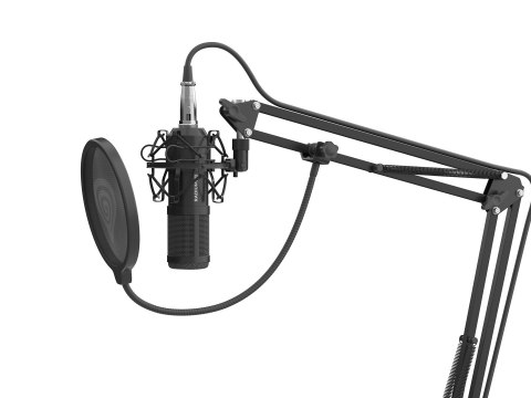 GENESIS Radium 300 XLR Czarny Mikrofon studyjny GENESIS Radium 300 XLR Czarny Mikrofon studyjny