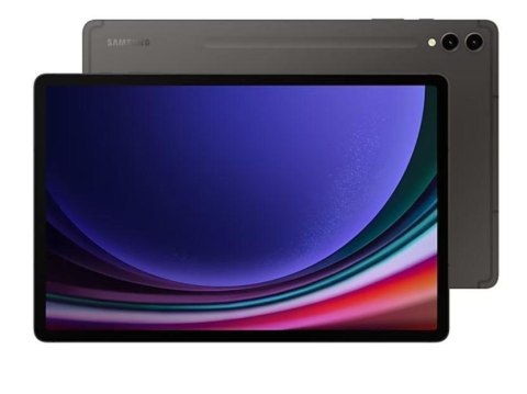 Samsung Galaxy Tab S9+ SM-X810N Qualcomm Snapdragon 256 GB 31,5 cm (12.4") 12 GB Wi-Fi 6 (802.11ax) Android 13 Grafitowy