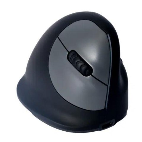 MOUSE USB OPTICAL BREAK/BLACK RGOHBRSWLBL R-GO TOOLS MOUSE USB OPTICAL BREAK/BLACK RGOHBRSWLBL R-GO TOOLS