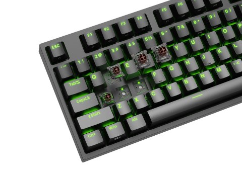 KLAWIATURA DLA GRACZY GENESIS THOR 404 TKL US PODŚWIETLENIE RGB MECHANICZNA CZARNA KAILH BOX BROWN KLAWIATURA DLA GRACZY GENESIS THOR 404 TKL US PODŚWIETLENIE RGB MECHANICZNA CZARNA KAILH BOX BROWN