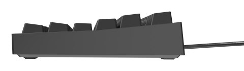 KLAWIATURA DLA GRACZY GENESIS THOR 404 TKL US PODŚWIETLENIE RGB MECHANICZNA CZARNA KAILH BOX BROWN KLAWIATURA DLA GRACZY GENESIS THOR 404 TKL US PODŚWIETLENIE RGB MECHANICZNA CZARNA KAILH BOX BROWN
