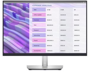 Monitor DELL P2423 (24"/1920 x 1200 /Czarno-srebrny)