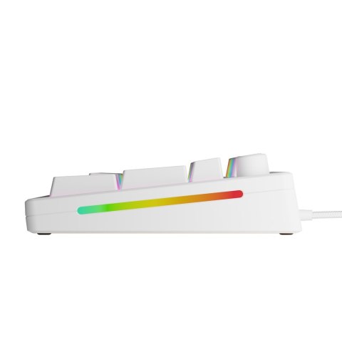 Glorious Gaming GMMK 3 HE 100% Prebuilt klawiatura USB QWERTY US English Biały Glorious Gaming GMMK 3 HE 100% Prebuilt klawiatura USB QWERTY US English Biały