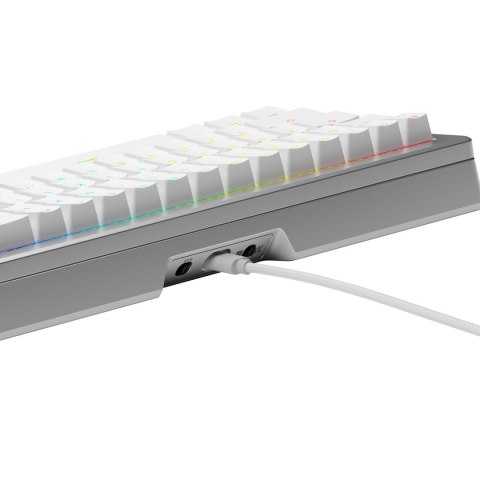 Glorious Gaming GLO-KB-GMMK3-PRO-65-PB-FOX-W-SIL-US klawiatura Glorious Gaming GLO-KB-GMMK3-PRO-65-PB-FOX-W-SIL-US klawiatura