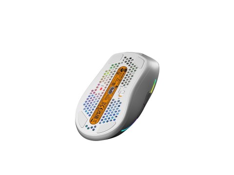 Glorious Gaming Glorious Model D 2 Wireless Gaming-Maus - weiß Glorious Gaming Glorious Model D 2 Wireless Gaming-Maus - weiß