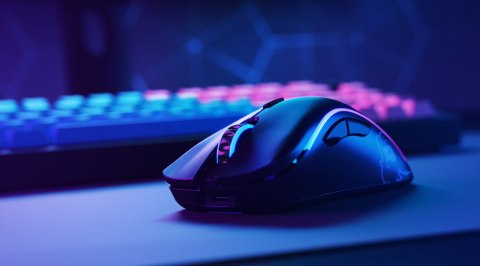 Glorious PC Gaming Race Model D- myszka Po prawej stronie RF Wireless 19000 DPI Glorious PC Gaming Race Model D- myszka Po prawej stronie RF Wireless 19000 DPI