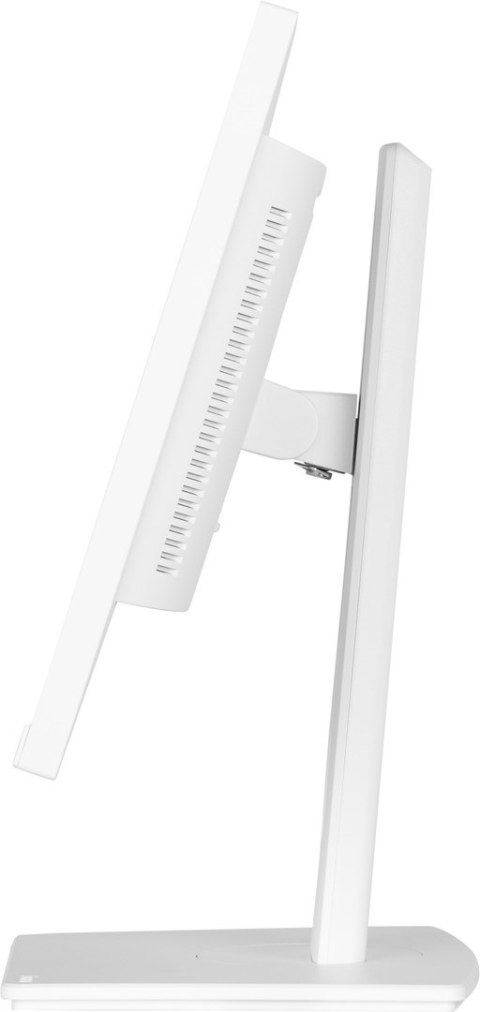 Iiyama TFT XUB2497HSU IPS 24'' HDMI/DP/2xUSB/hoev/weiß - Płaski ekran - 60.5 cm Iiyama TFT XUB2497HSU IPS 24'' HDMI/DP/2xUSB/hoev/weiß - Płaski ekran - 60.5 cm