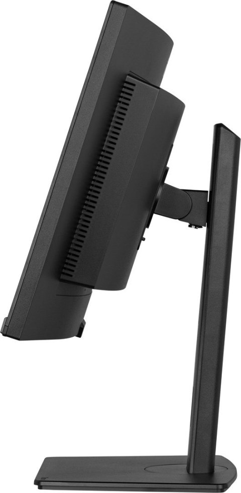 Monitor iiyama XCB3494WQSU-B1 34" - Płaski ekran - 86,4 cm Monitor iiyama XCB3494WQSU-B1 34" - Płaski ekran - 86,4 cm