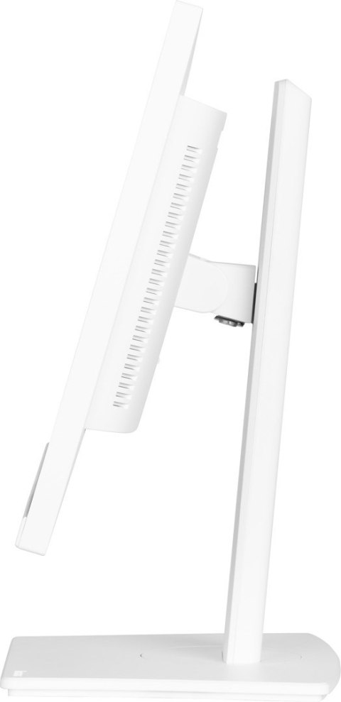 Płaski ekran iiyama 24 XUB2497HSN-W2 HDMI DP USB USB-C - 60,5 cm Płaski ekran iiyama 24 XUB2497HSN-W2 HDMI DP USB USB-C - 60,5 cm