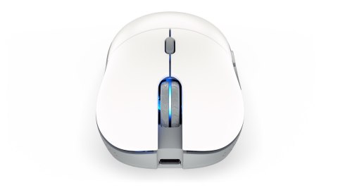 ENDORFY GEM Plus Wireless Onyx White myszka Oburęczny RF Wireless + USB Type-C Optyczny 26000 DPI
