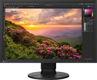 Monitor EIZO ColorEdge CS2400S (24.1" /IPS /61Hz /1920 x 1200 /Czarny)
