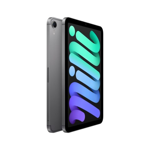 Apple iPad mini 5G TD-LTE & FDD-LTE 128 GB 21,1 cm (8.3") Wi-Fi 6E (802.11ax) iPadOS 18 Szary Apple iPad mini 5G TD-LTE & FDD-LTE 128 GB 21,1 cm (8.3") Wi-Fi 6E (802.11ax) iPadOS 18 Szary