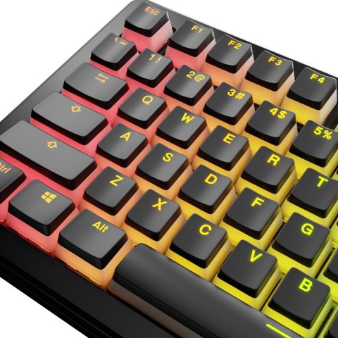Glorious Gaming GLO-KB-ACC-KC-GPBT-AURA-BLK-US części do urządzeń wejściowych Nakładki na przyciski klawiatury Glorious Gaming GLO-KB-ACC-KC-GPBT-AURA-BLK-US części do urządzeń wejściowych Nakładki na przyciski klawiatury