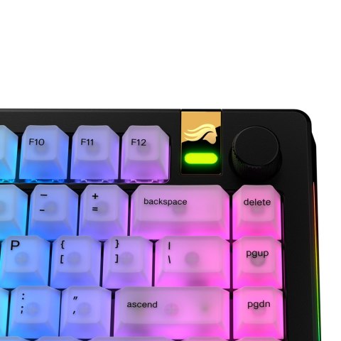Glorious Gaming GLO-KB-ACC-KC-PC-POLY-US części do urządzeń wejściowych Nakładki na przyciski klawiatury Glorious Gaming GLO-KB-ACC-KC-PC-POLY-US części do urządzeń wejściowych Nakładki na przyciski klawiatury