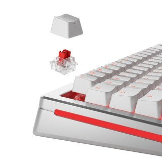 Glorious Gaming GLO-KB-ACC-SWT-FOX-HE-36 bez kategorii