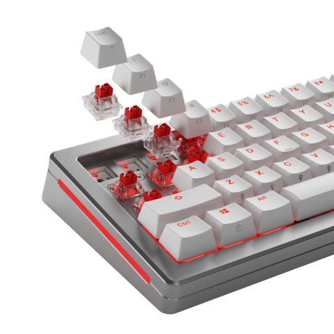 Glorious Gaming GLO-KB-ACC-SWT-FOX-HE-36 bez kategorii Glorious Gaming GLO-KB-ACC-SWT-FOX-HE-36 bez kategorii