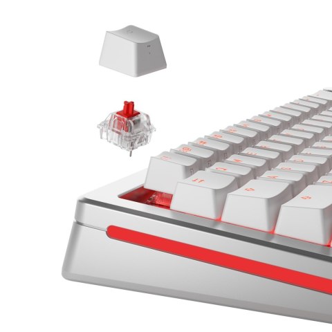 Glorious Gaming GLO-KB-ACC-SWT-FOX-LUBED-110 części do urządzeń wejściowych Przełączniki klawiatury Glorious Gaming GLO-KB-ACC-SWT-FOX-LUBED-110 części do urządzeń wejściowych Przełączniki klawiatury