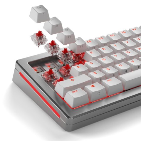 Glorious Gaming GLO-KB-ACC-SWT-FOX-LUBED-110 części do urządzeń wejściowych Przełączniki klawiatury Glorious Gaming GLO-KB-ACC-SWT-FOX-LUBED-110 części do urządzeń wejściowych Przełączniki klawiatury