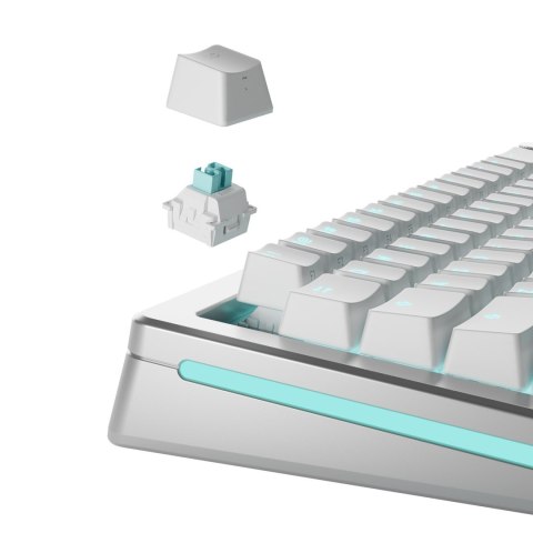 Glorious Gaming GLO-KB-ACC-SWT-LYNX-HE-36 bez kategorii Glorious Gaming GLO-KB-ACC-SWT-LYNX-HE-36 bez kategorii