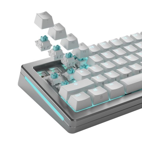 Glorious Gaming GLO-KB-ACC-SWT-LYNX-HE-36 bez kategorii Glorious Gaming GLO-KB-ACC-SWT-LYNX-HE-36 bez kategorii
