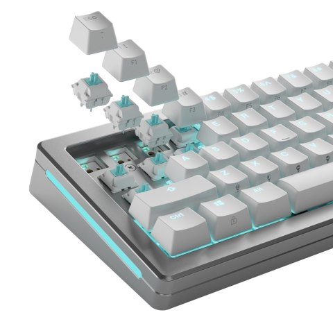Glorious Gaming GLO-KB-ACC-SWT-LYNX-LUBED-36 bez kategorii Glorious Gaming GLO-KB-ACC-SWT-LYNX-LUBED-36 bez kategorii
