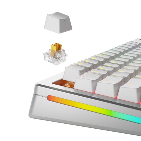 Glorious Gaming GLO-KB-ACC-SWT-PANDA-HE-36 bez kategorii Glorious Gaming GLO-KB-ACC-SWT-PANDA-HE-36 bez kategorii