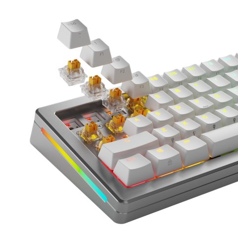 Glorious Gaming GLO-KB-ACC-SWT-PANDA-HE-36 bez kategorii Glorious Gaming GLO-KB-ACC-SWT-PANDA-HE-36 bez kategorii