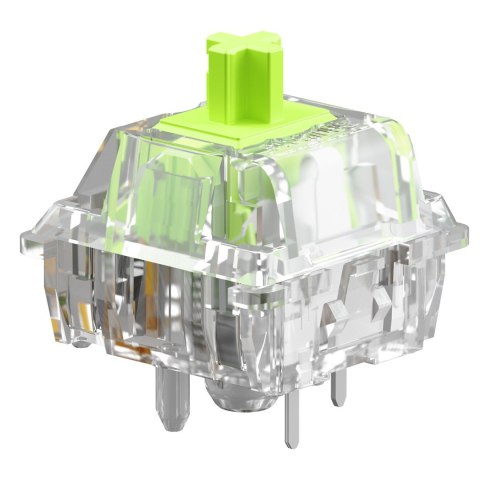 Przełącznik mechaniczny Glorious Raptor Standard Switch, mechanisch, 5-Pin, clicky, MX-Stem, 55g - lubed, 36 Stück Przełącznik mechaniczny Glorious Raptor Standard Switch, mechanisch, 5-Pin, clicky, MX-Stem, 55g - lubed, 36 Stück