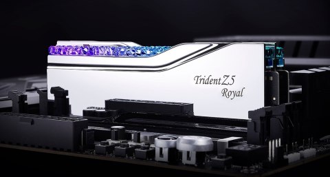G.Skill F5-6400J3239F48GX2-TR5S moduł pamięci 96 GB 2 x 48 GB DDR5 6400 MHz G.Skill F5-6400J3239F48GX2-TR5S moduł pamięci 96 GB 2 x 48 GB DDR5 6400 MHz