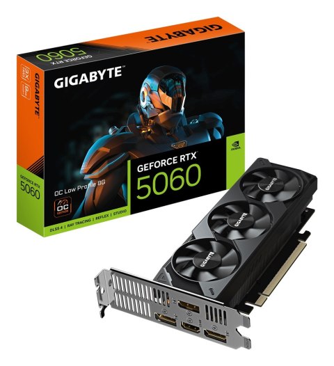 Karta graficzna Gigabyte GeForce RTX 5060 OC Low Profile 8GB Karta graficzna Gigabyte GeForce RTX 5060 OC Low Profile 8GB