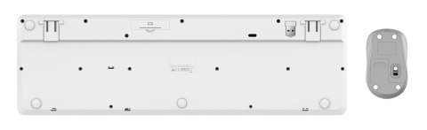 Klawiatura + mysz Trust ODY II Wireless White US Klawiatura + mysz Trust ODY II Wireless White US