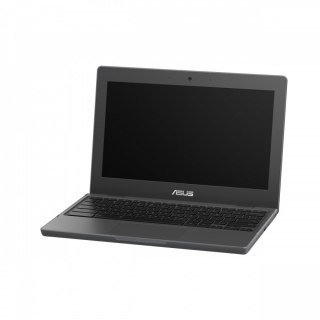 Chromebook CB1100CKA-GJ0415