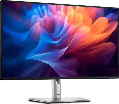 Monitor DELL P2425E (24"/100Hz /1920 x 1200 /Czarno-srebrny)