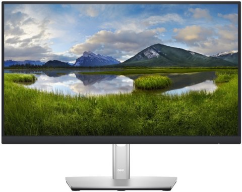 Monitor DELL P2222H (22"/60Hz /1920 x 1080 /Czarno-srebrny)